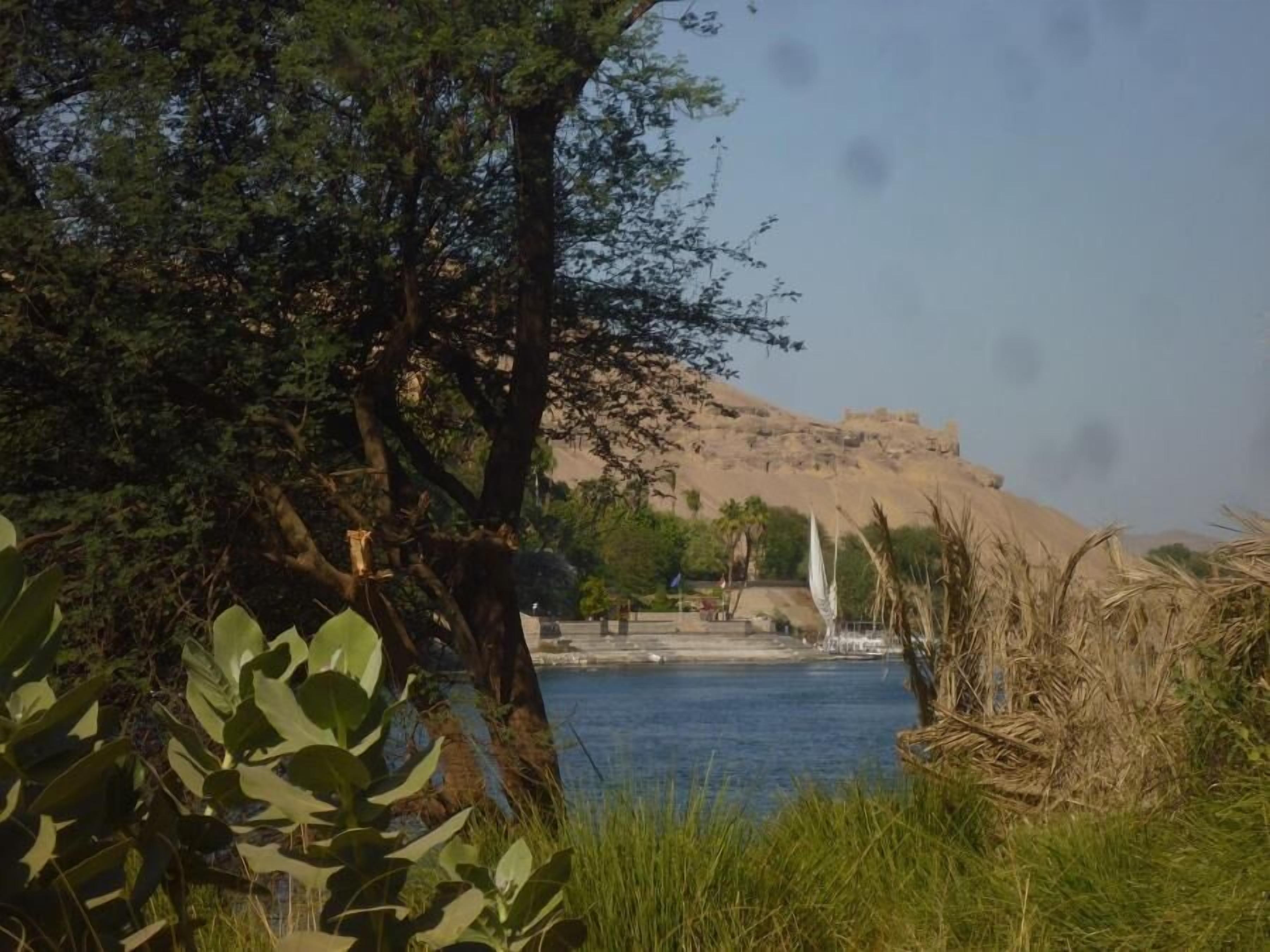 El Prince Guesthouse