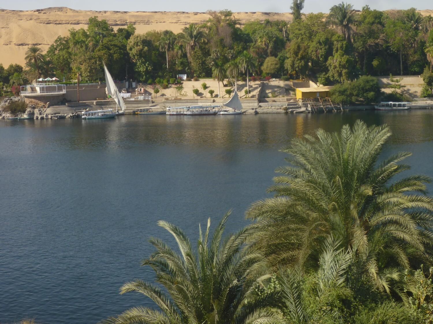 El Prince Guesthouse
