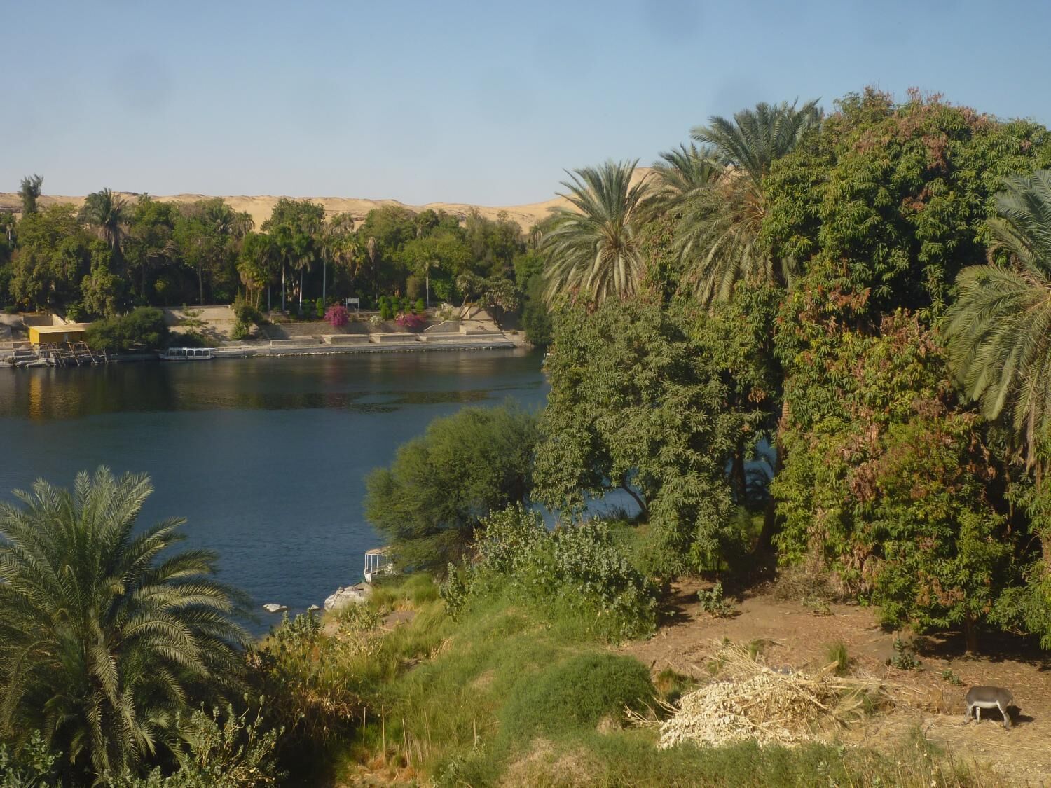 El Prince Guesthouse
