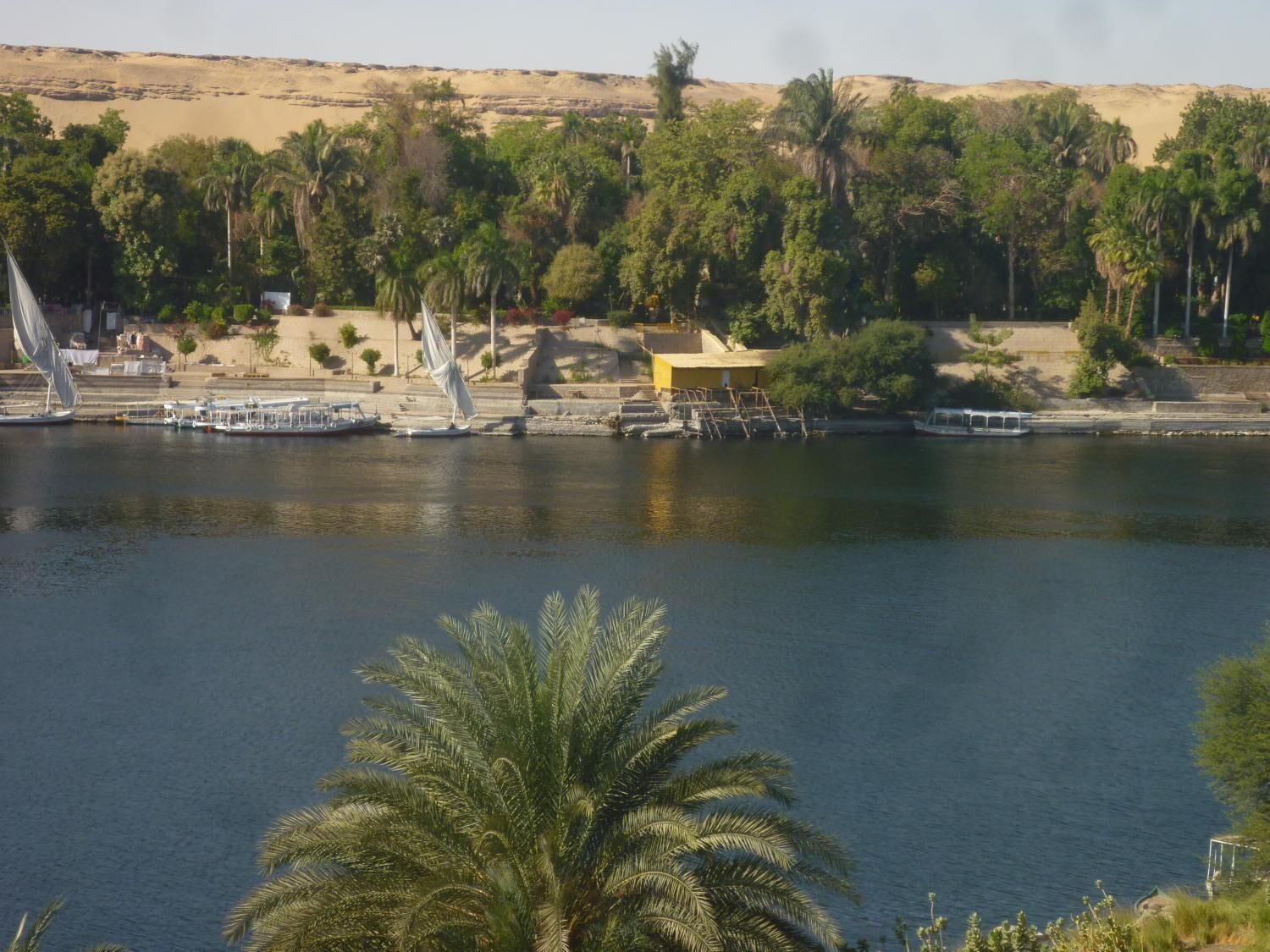 El Prince Guesthouse