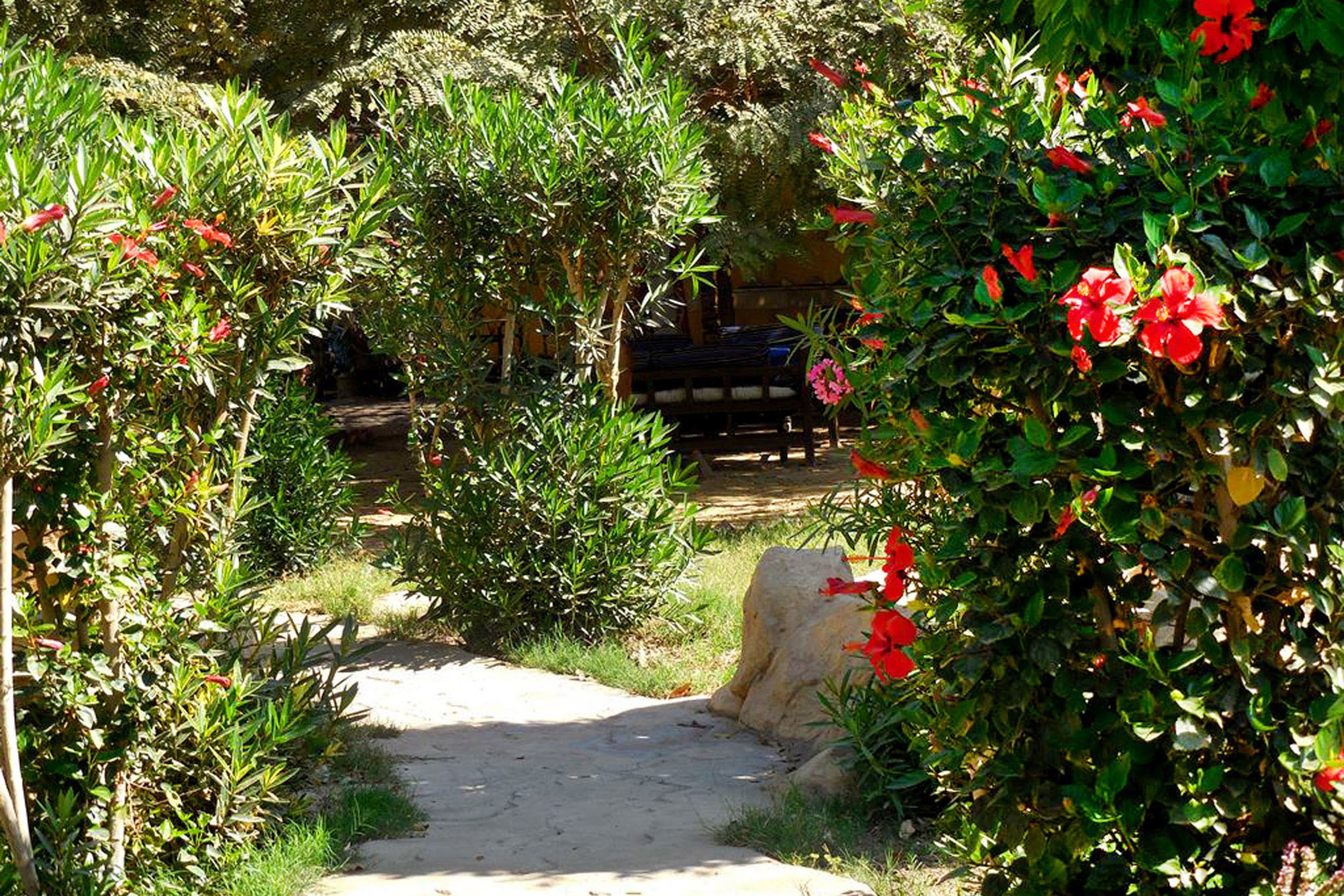 Hotel Sheherazade
