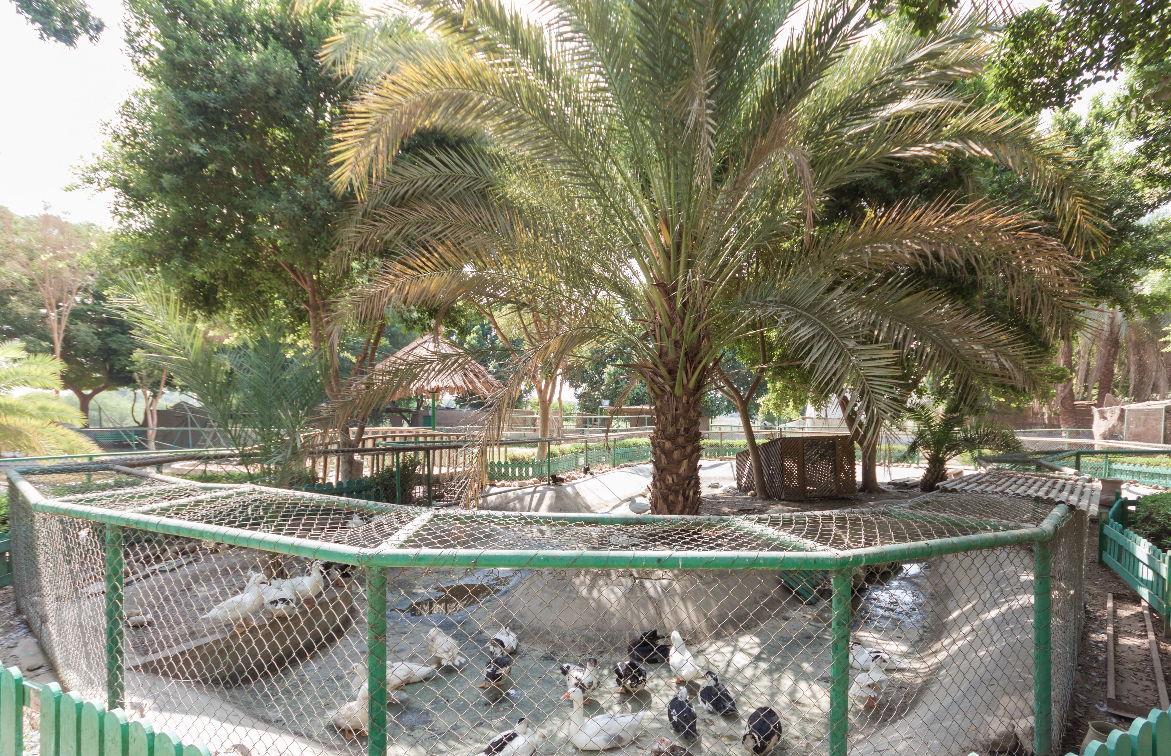 Jolie Ville Luxor