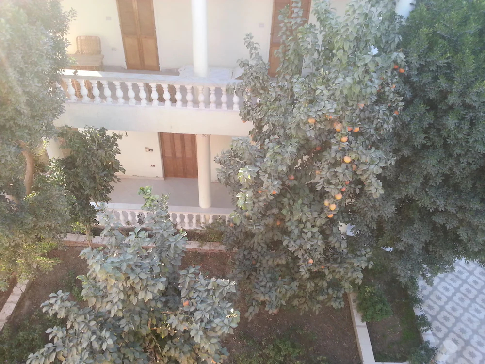 Nile View Hotel