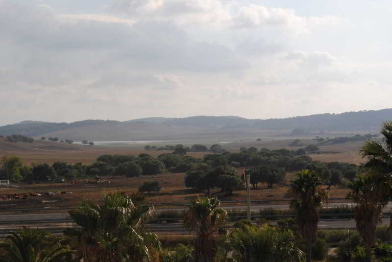 la Palmosa