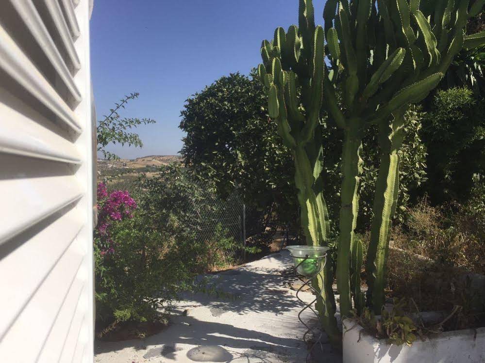 B&B Cortijo Andaluz