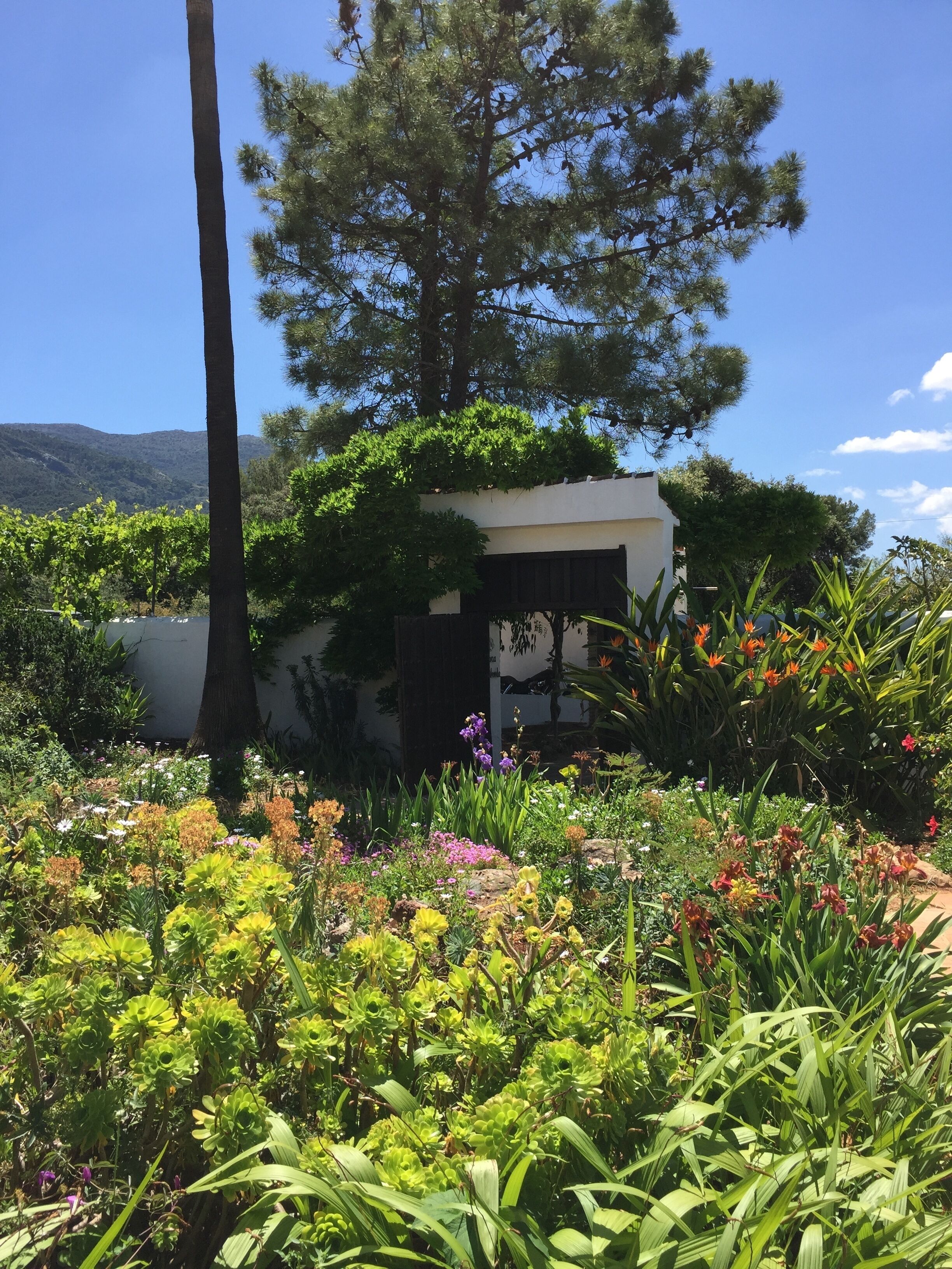 Roca Verde Boutique Bed & Breakfast