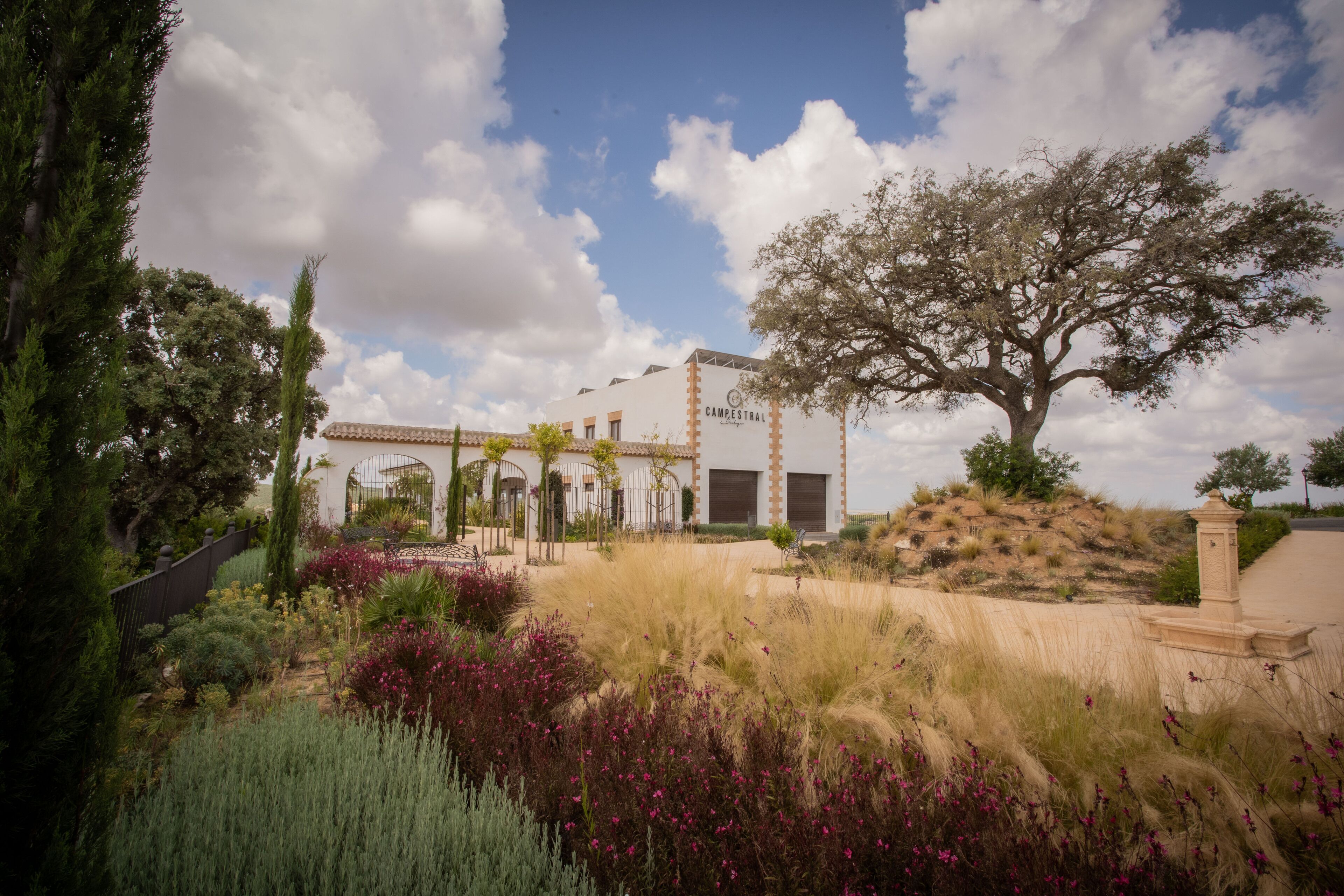 Hotel Bodegas Campestral
