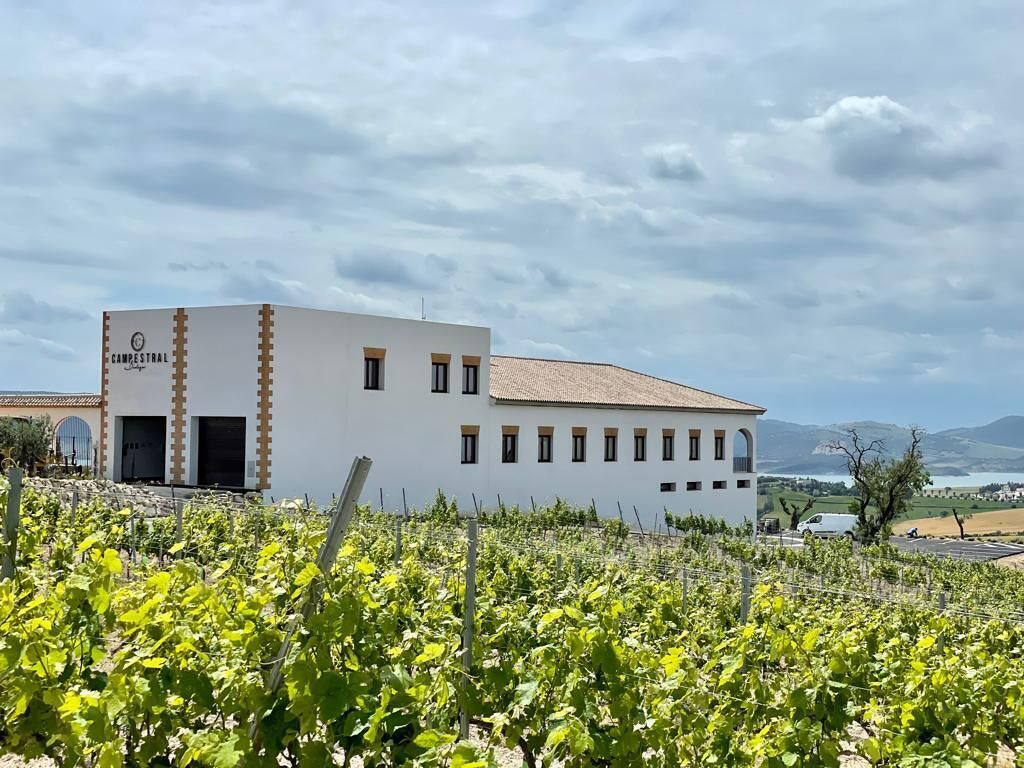 Hotel Bodegas Campestral