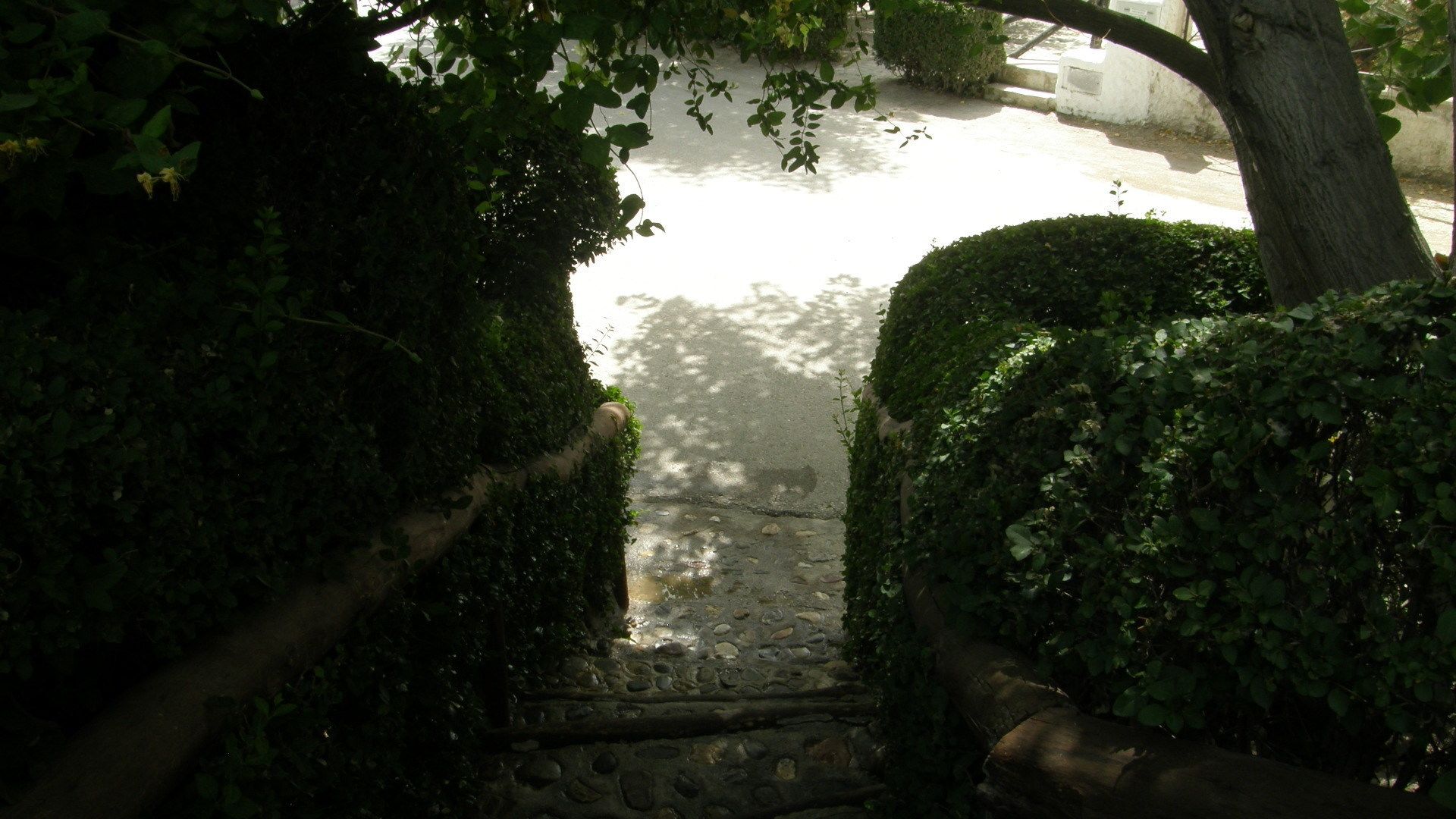 Cueva El Guindas