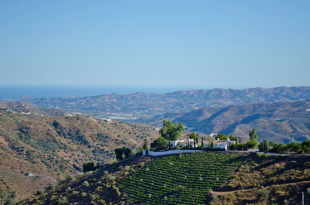 Cortijo El Carligto