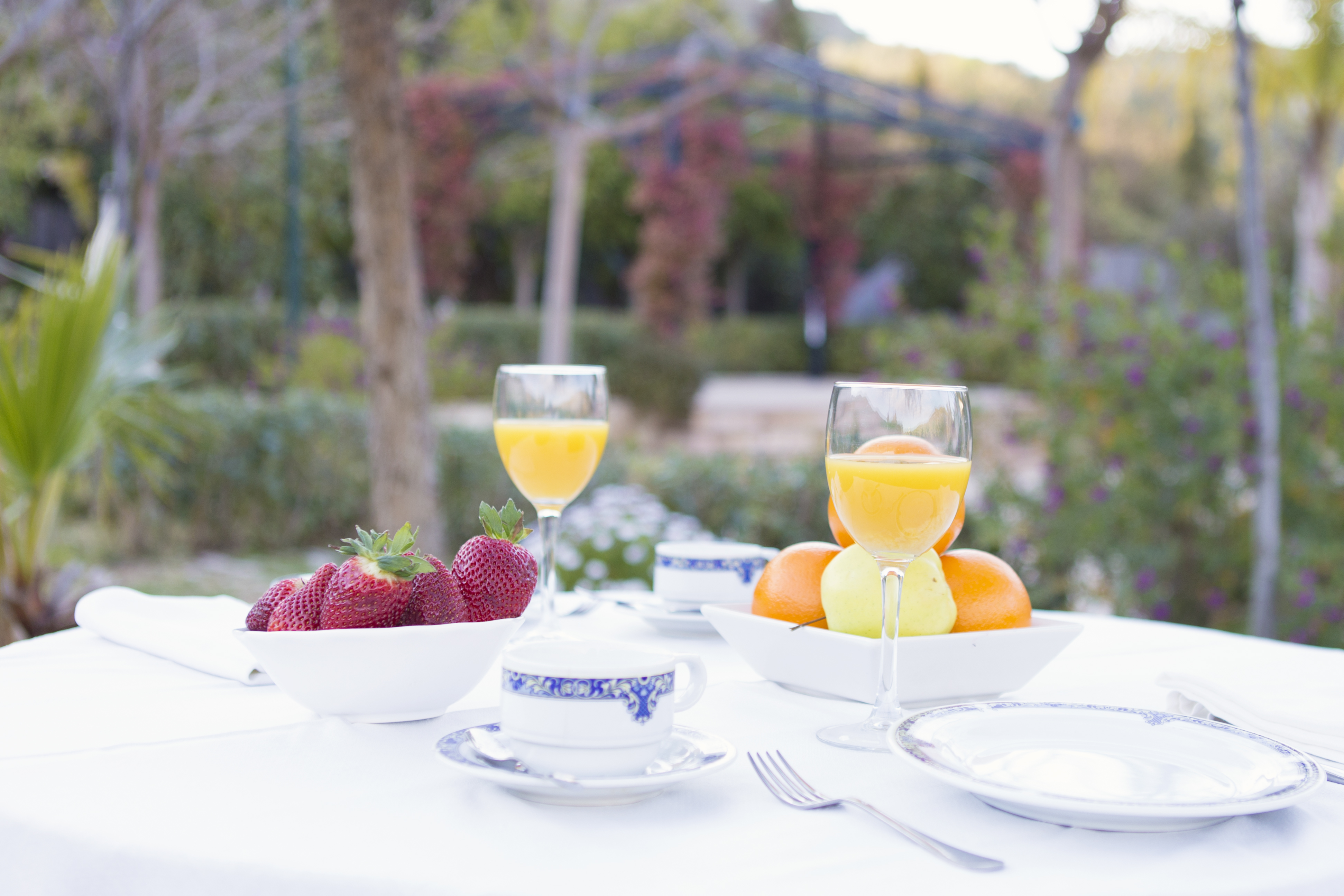 Hotel Cortijo San Antonio