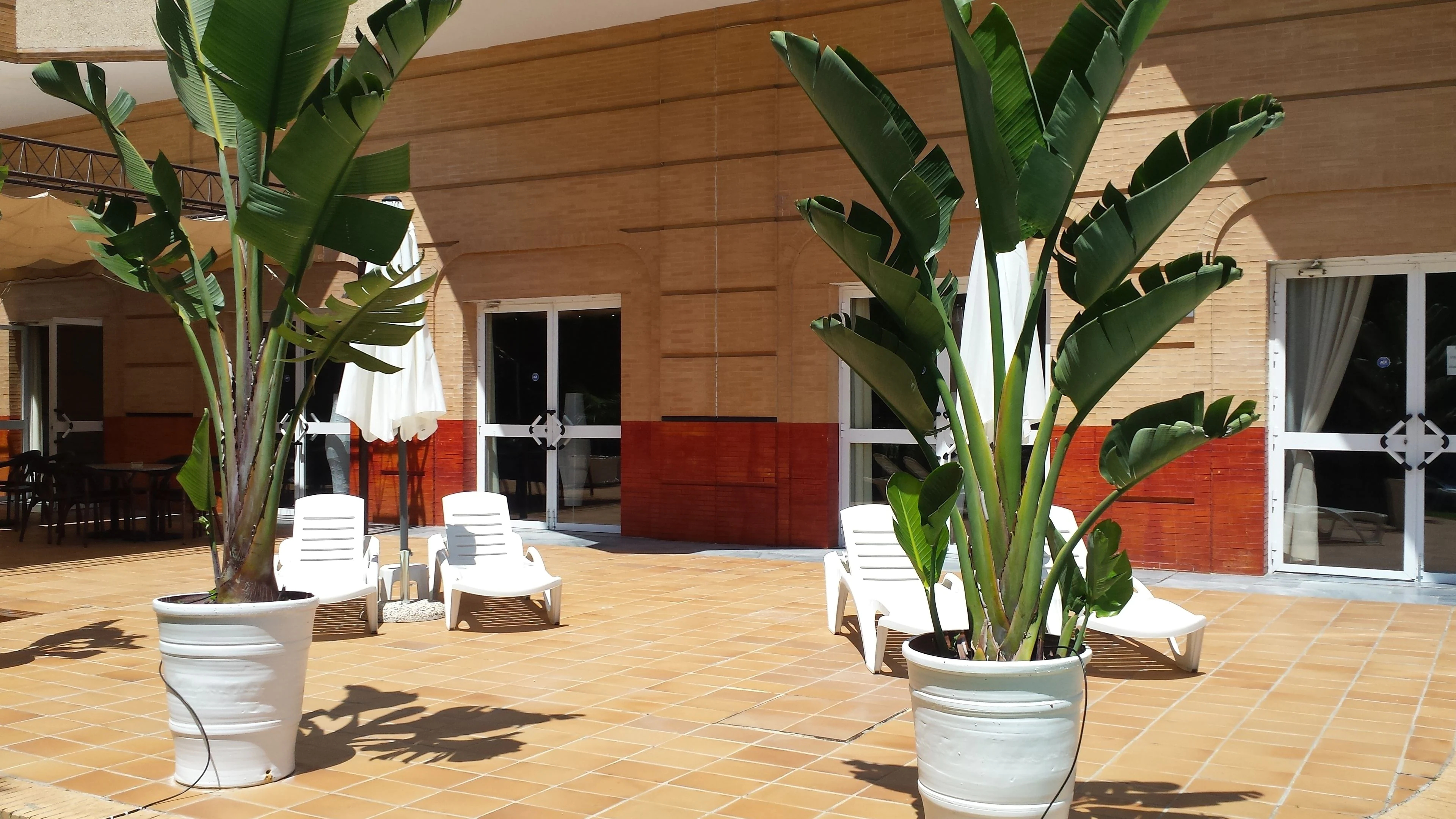 TRH La Motilla Business & Cultural Hotel