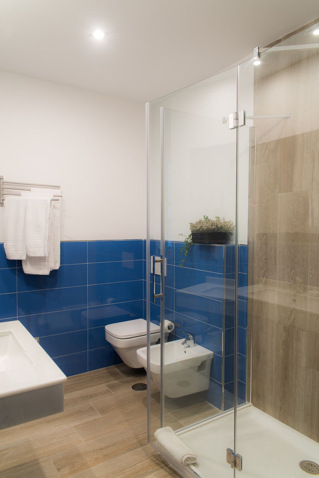 Apartamentos Campo del Principe