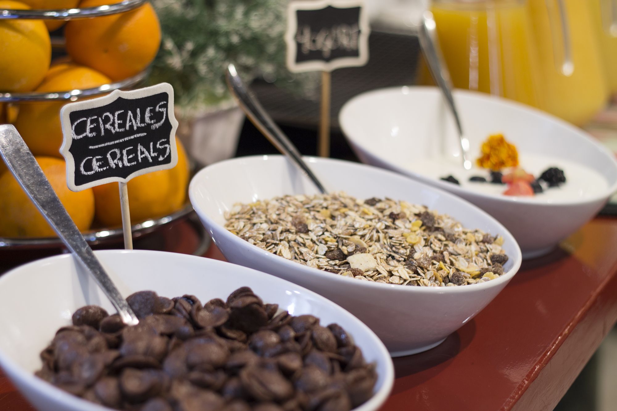 Hotel Casa Palacio Pilar del Toro