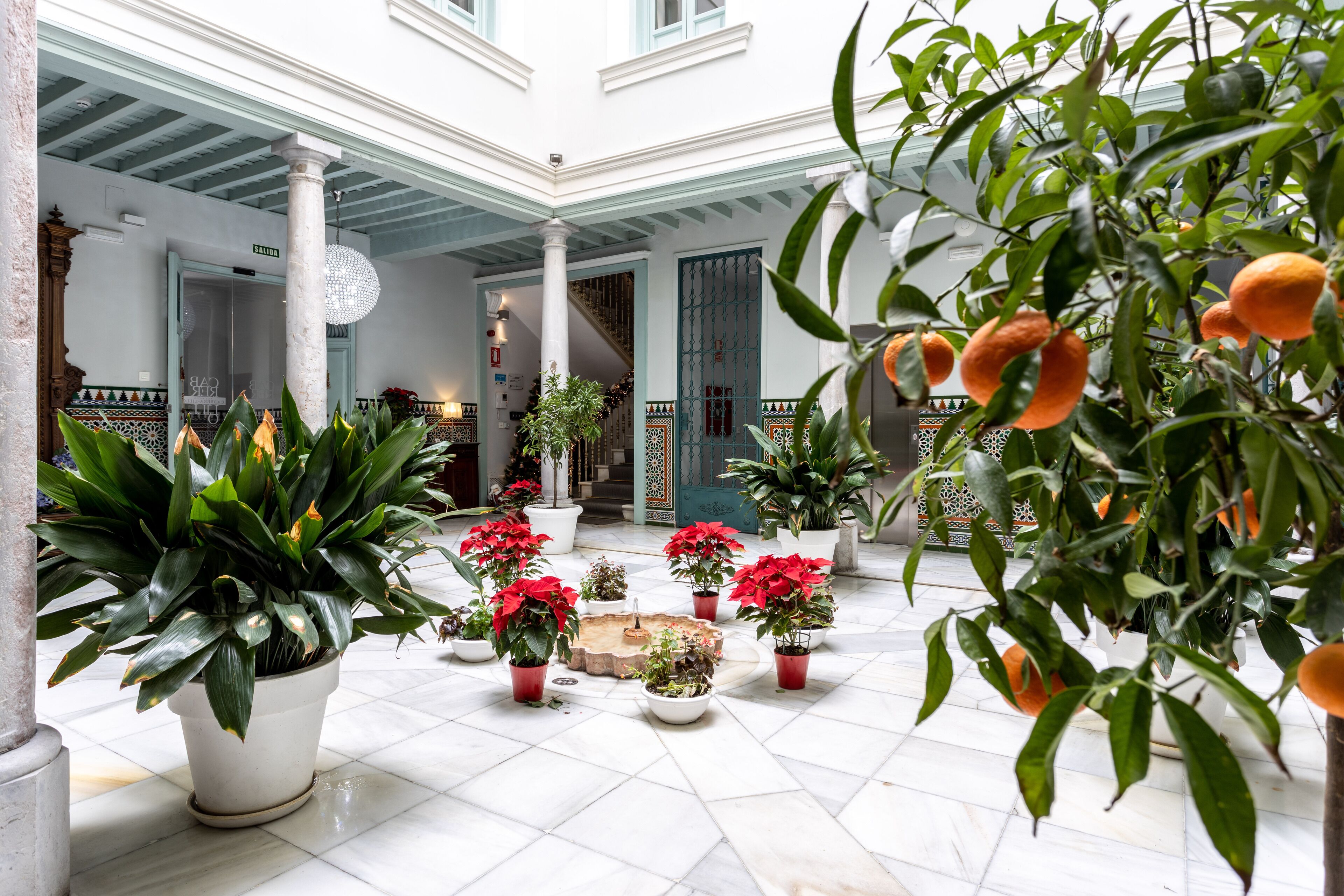 Palacio Cabrera Lillo