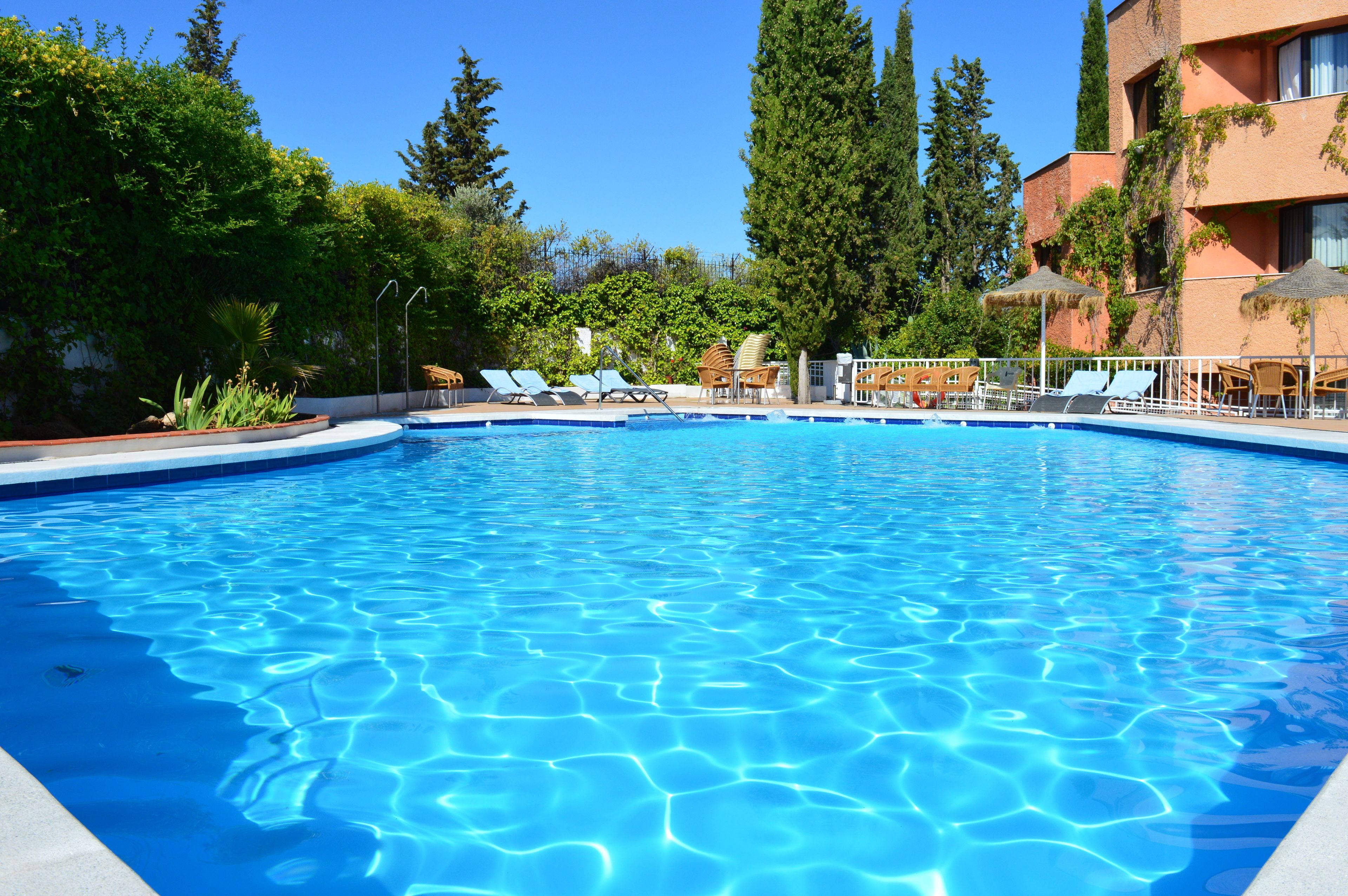 Porcel Alixares