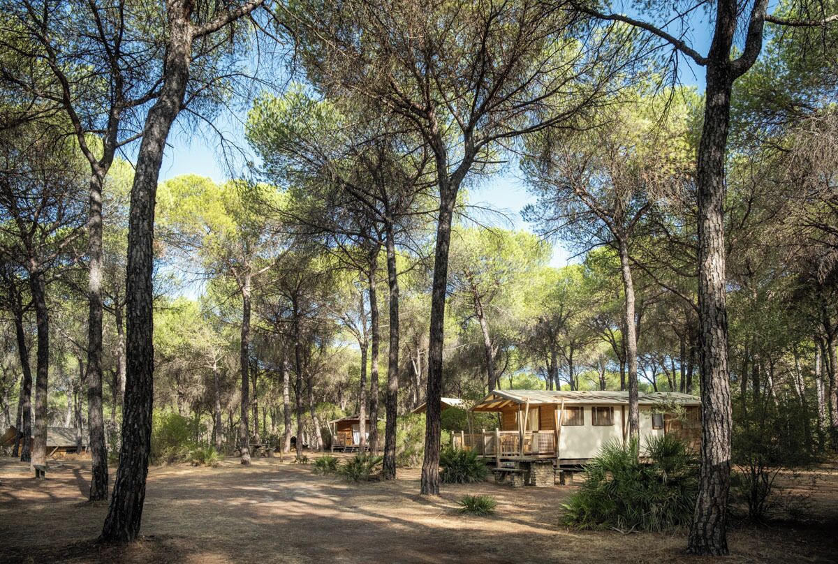 Huttopia Parque de Doñana