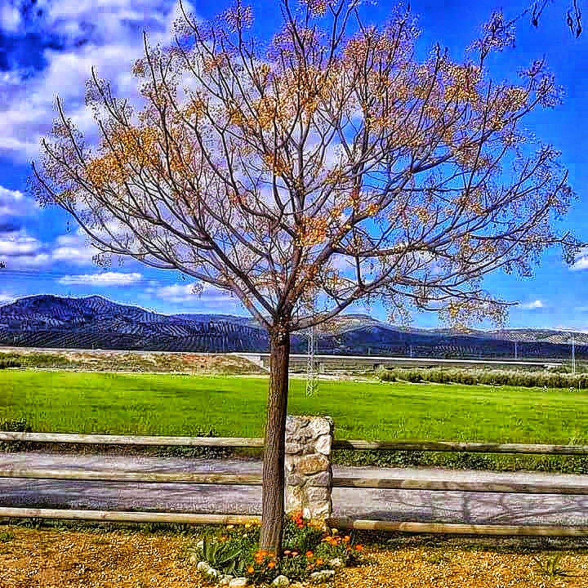 Alojamiento rural El Cortijuelo