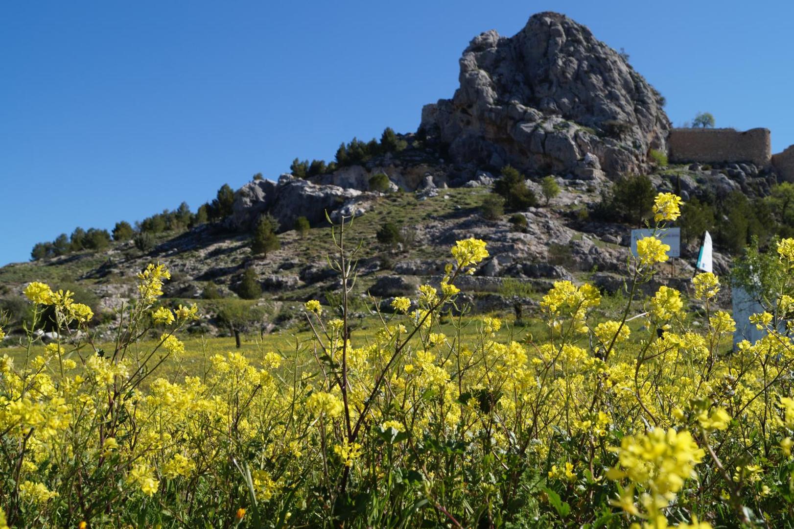 Casa de La Placeta del Rincon