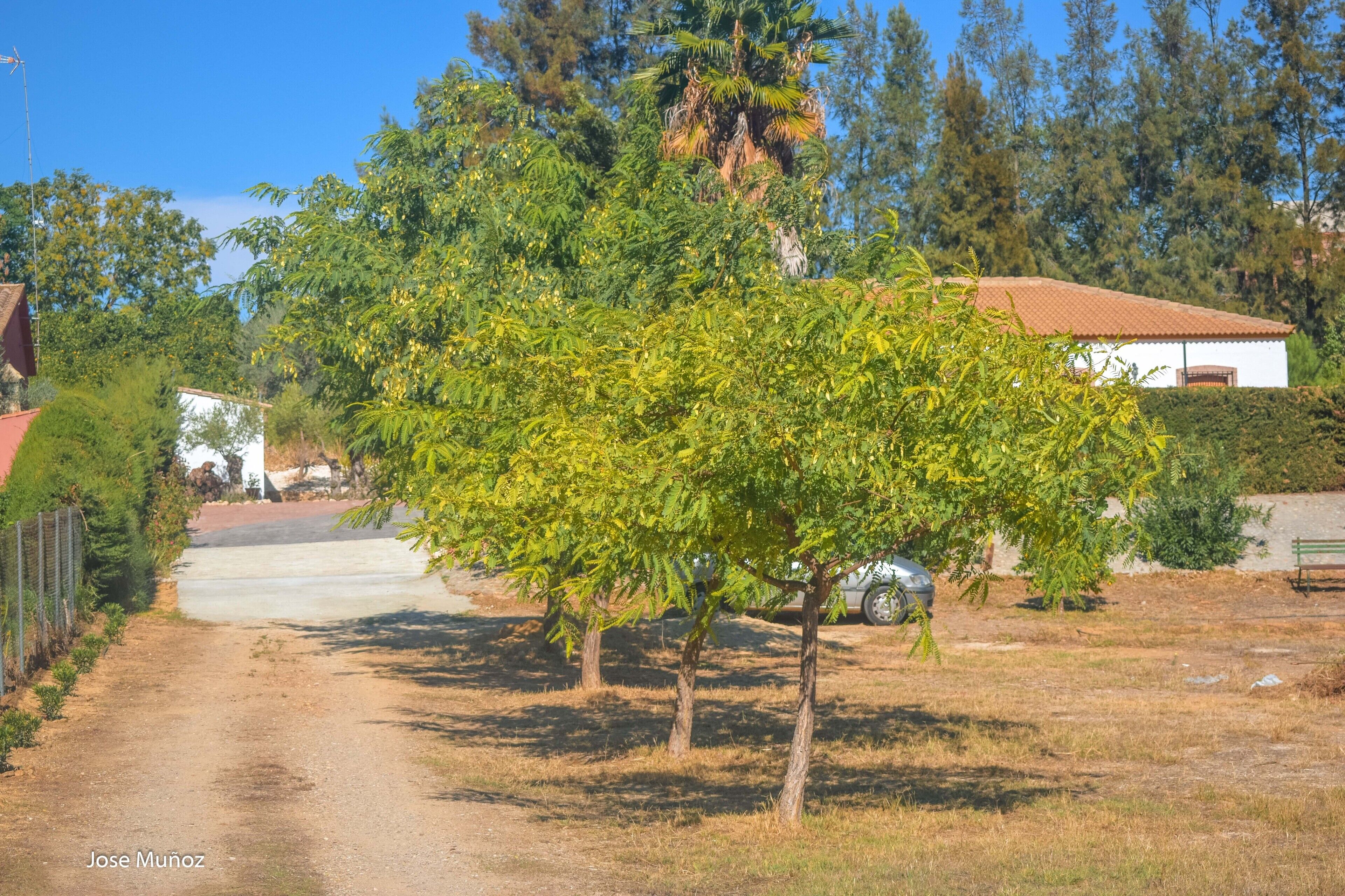 Villa Concha