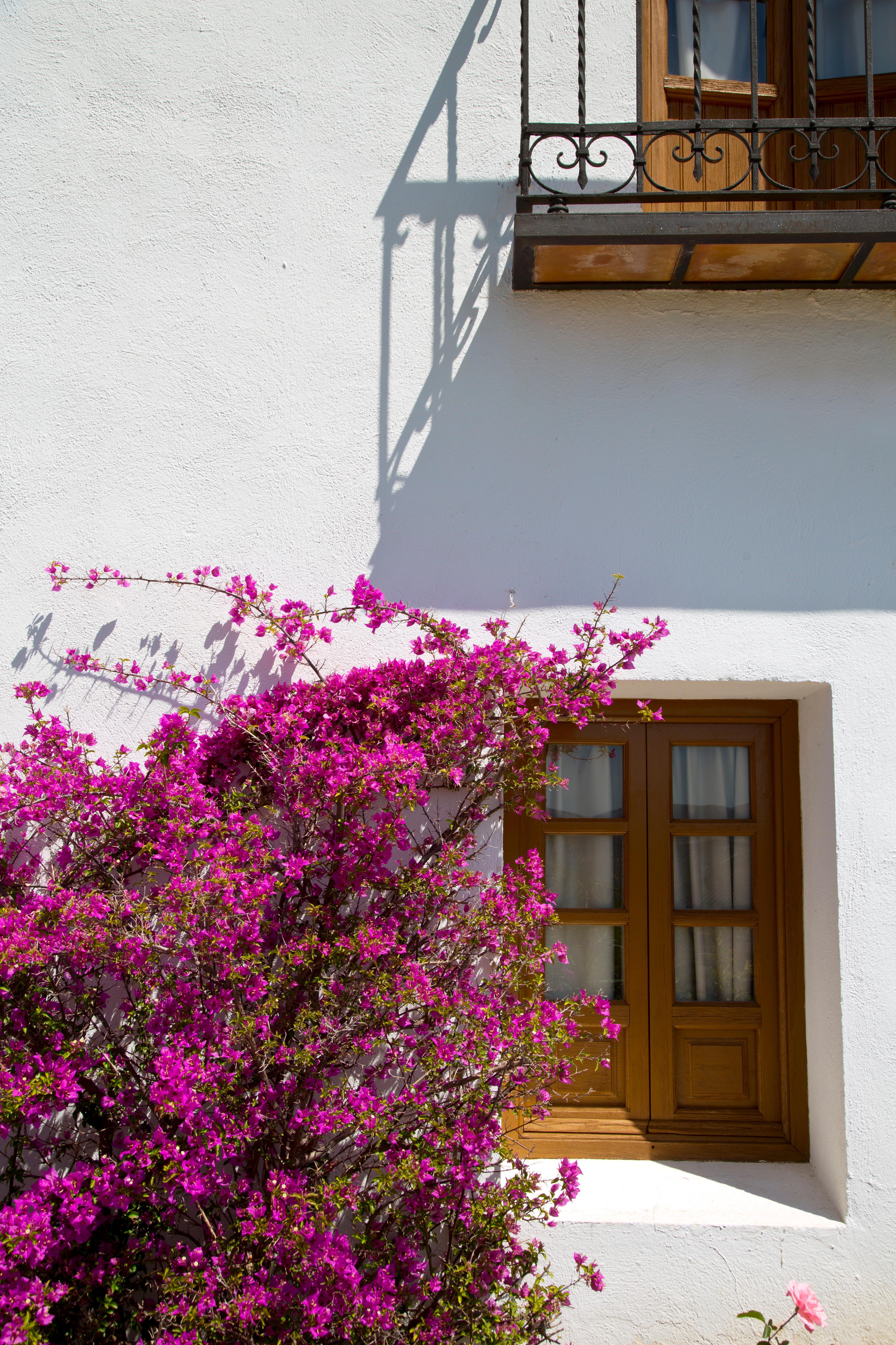 Villa de Priego de Córdoba