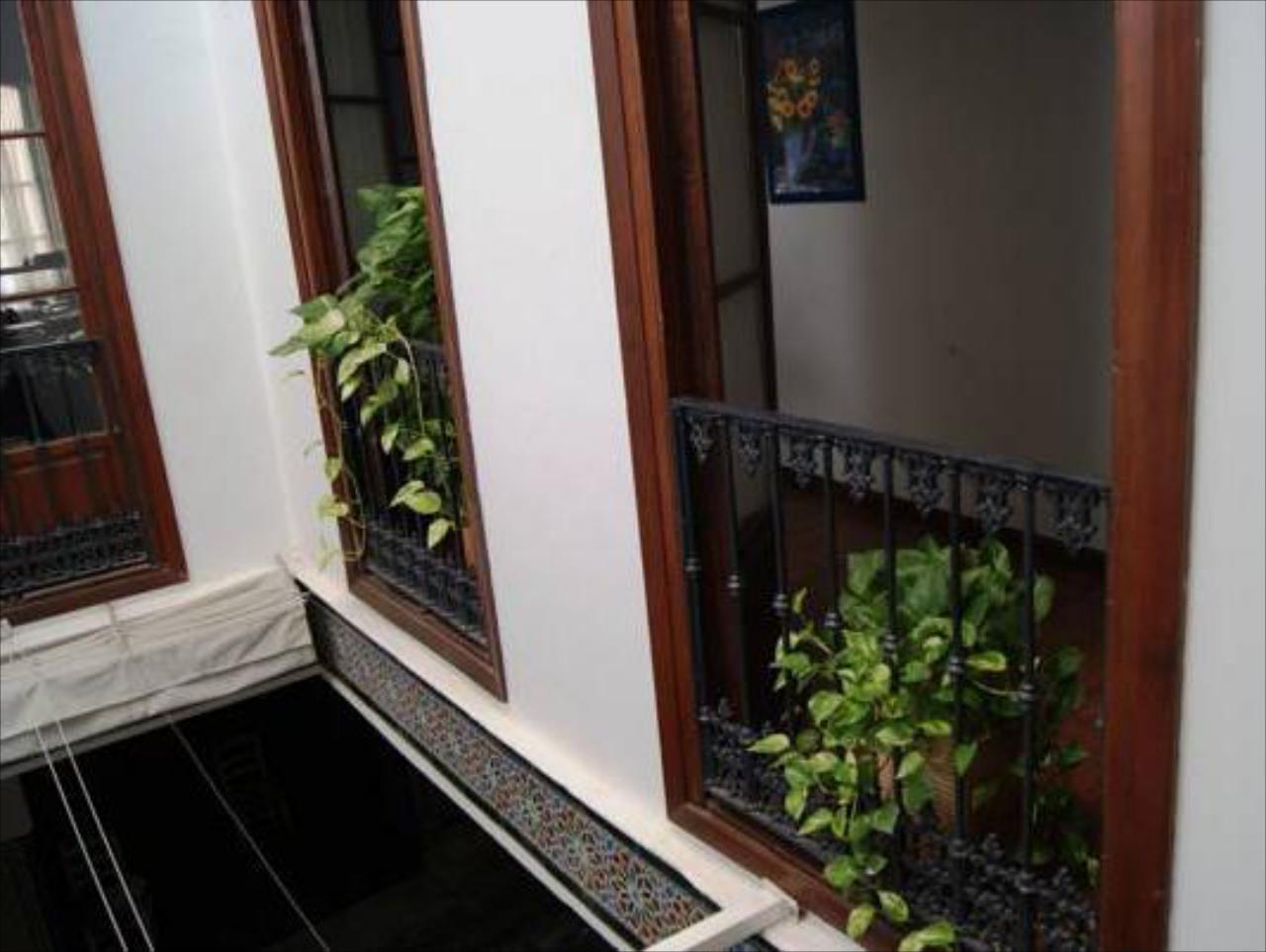 Oboe Sevilla Santa Cruz