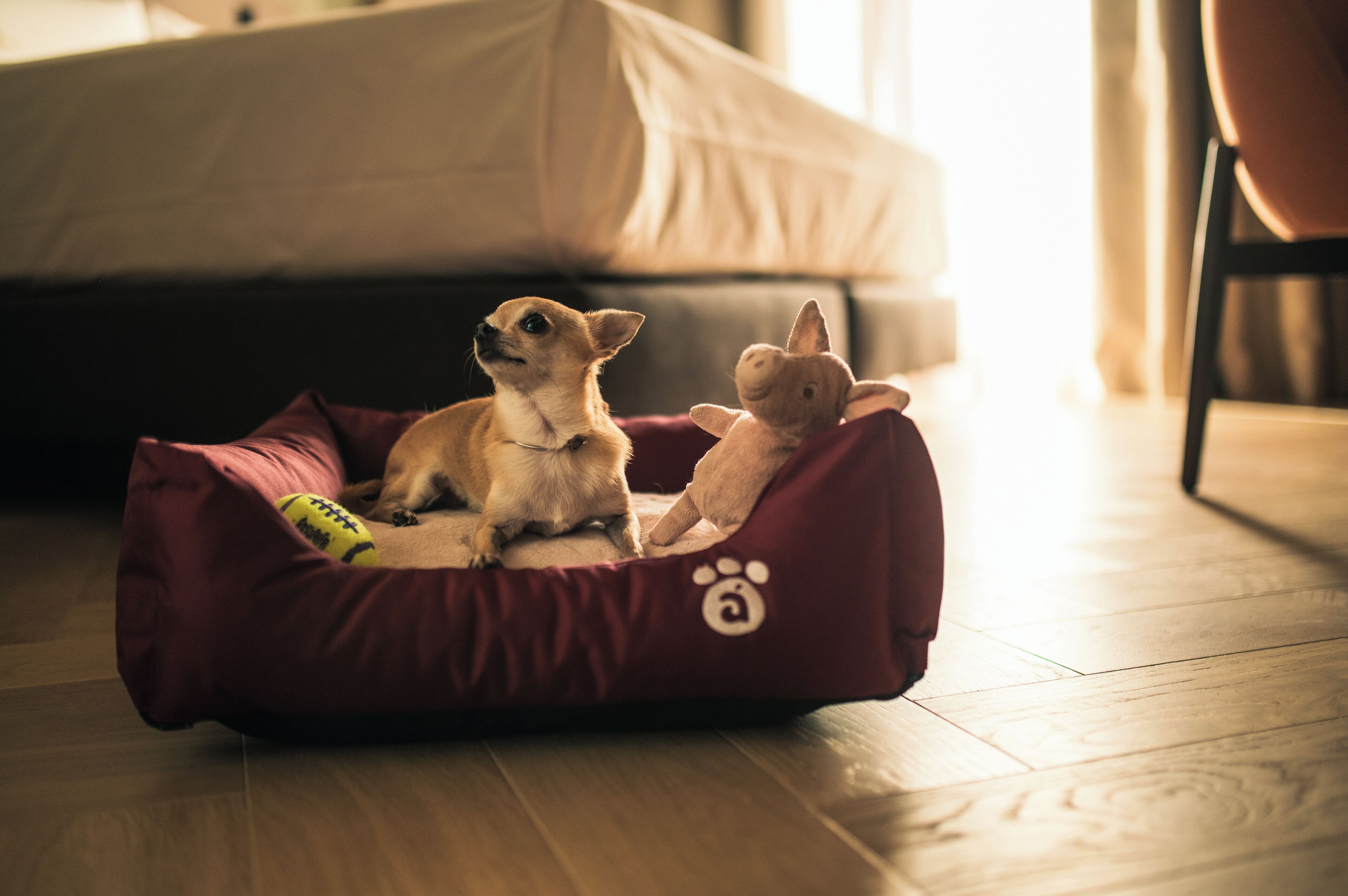 Legado Magdalena Hotel