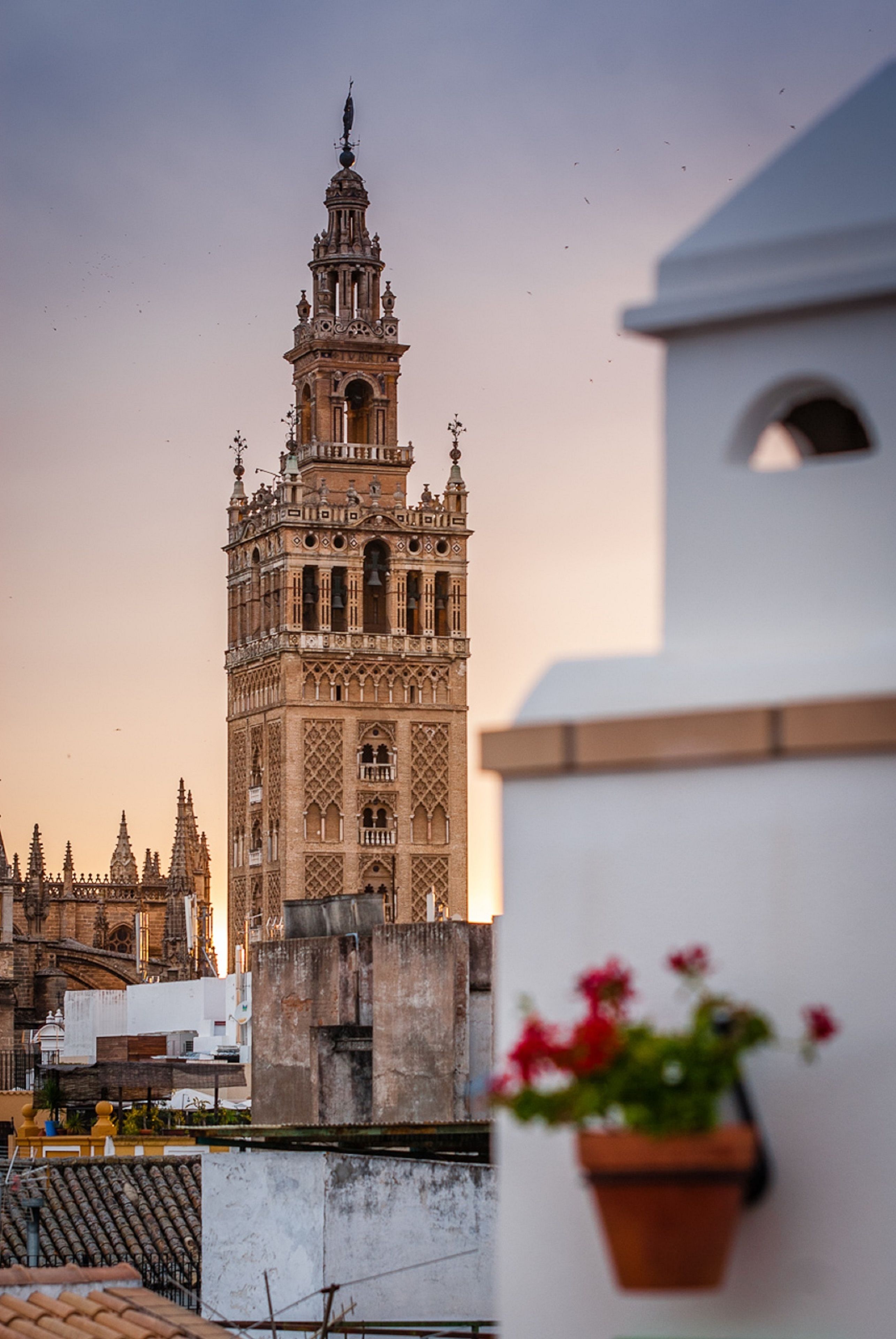Murillo Hotel