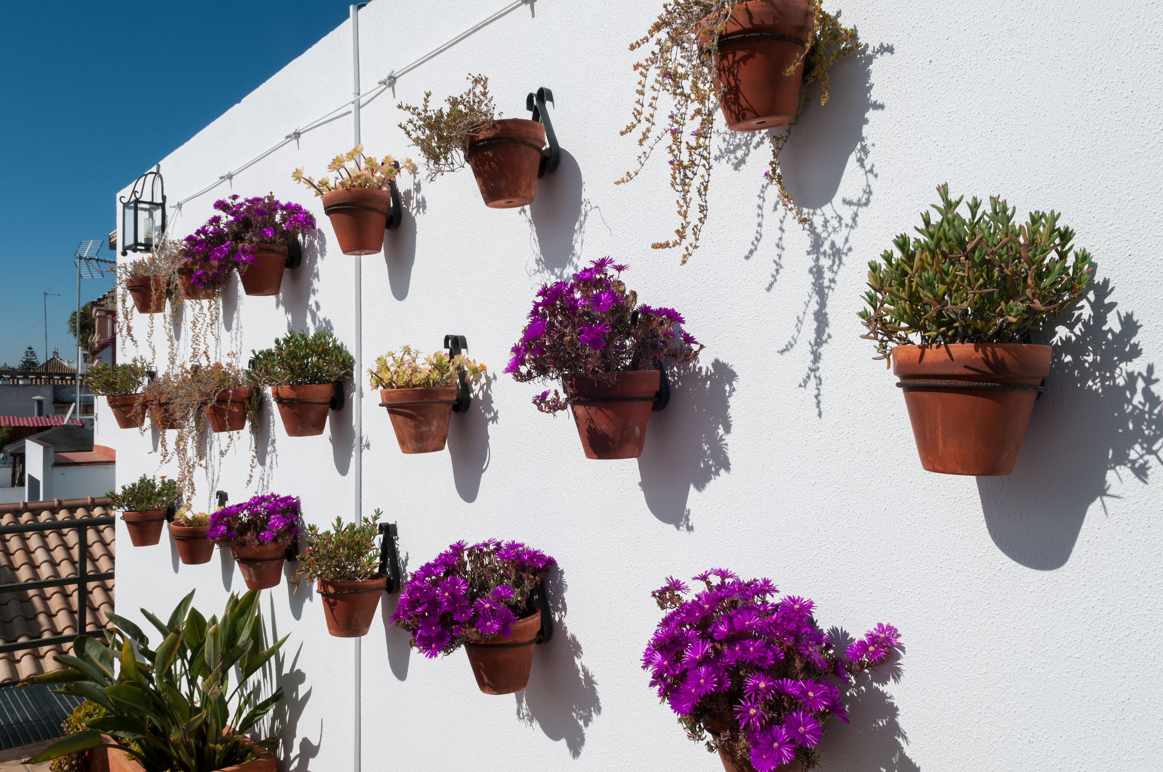 Murillo Hotel