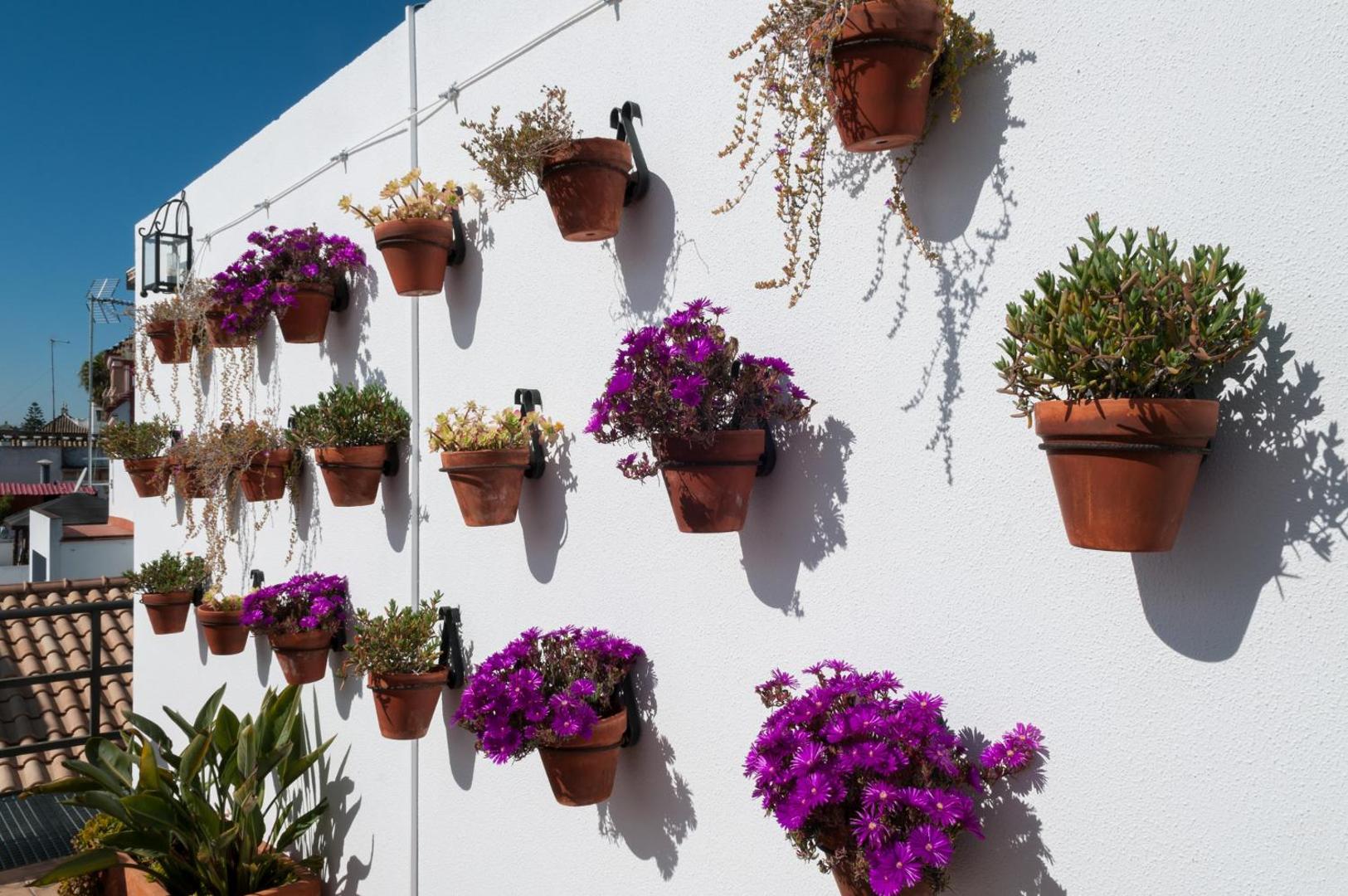Murillo Hotel