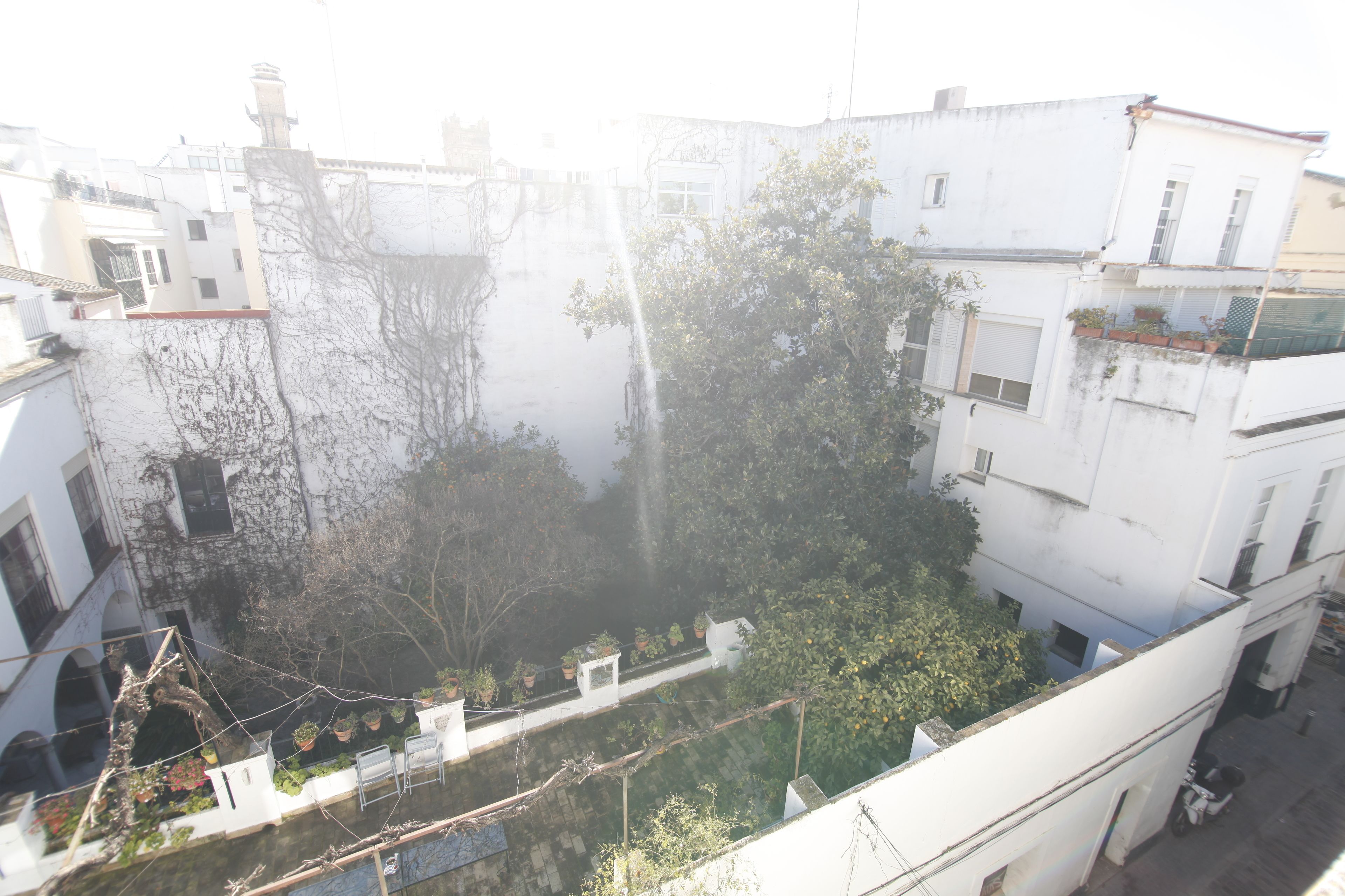 Sevilladream Apartments