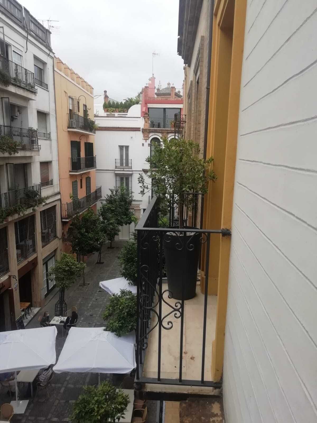 Sevilla Luxury Rentals - Alcazar