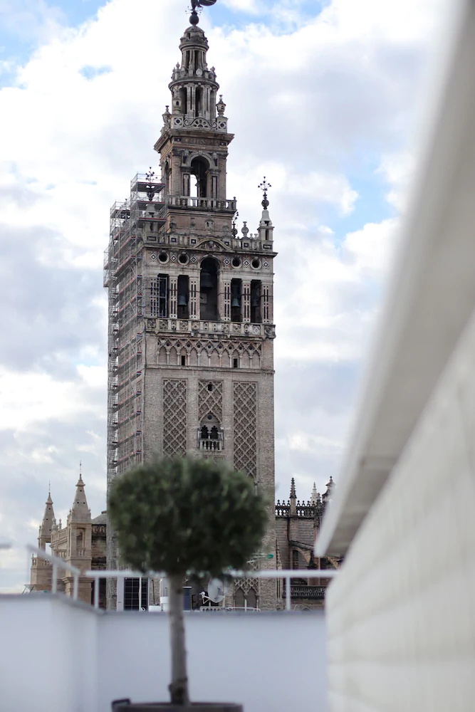 Numa Seville Molina