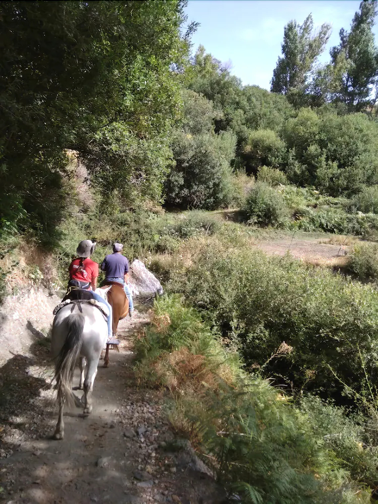 Apartamentos Balcon Del Cielo