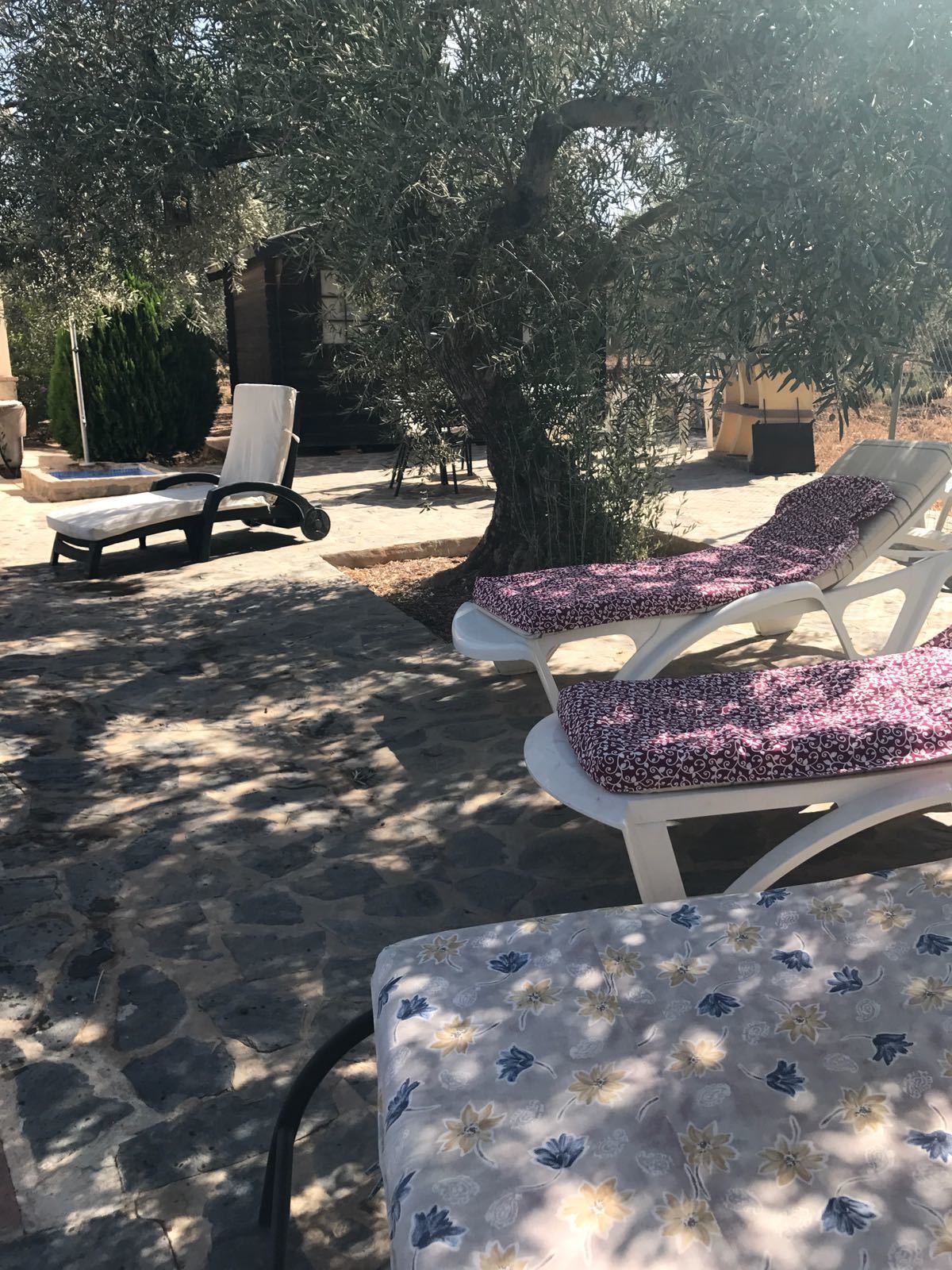 La Casita De Lola