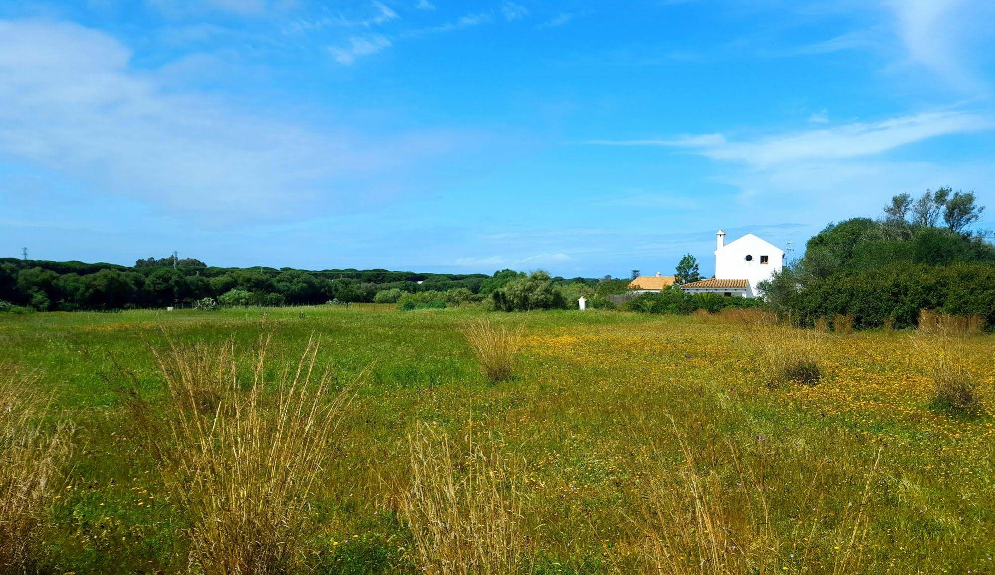 La Quinta de María Luisa