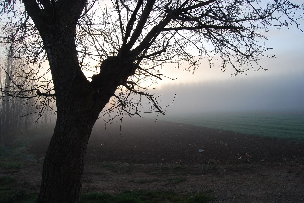 Molino Bajo