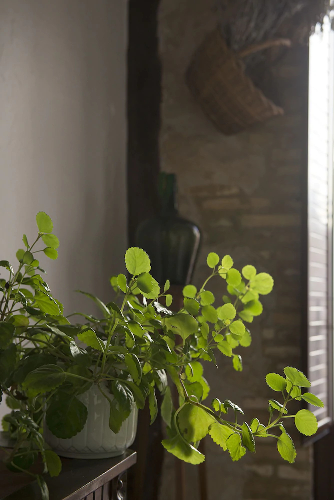Apartamentos La Val Del Oro