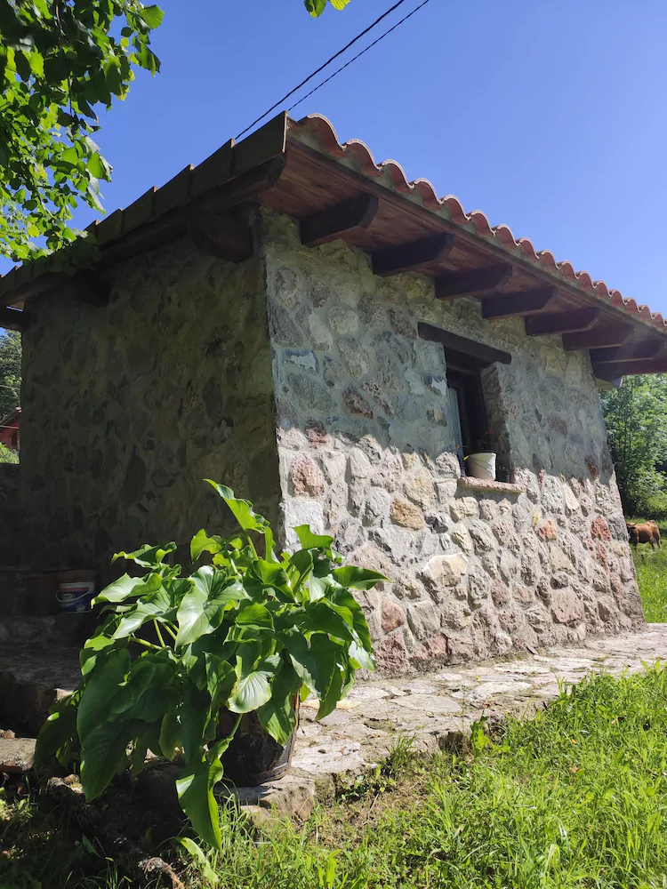 Apartamentos Rurales La Caviana