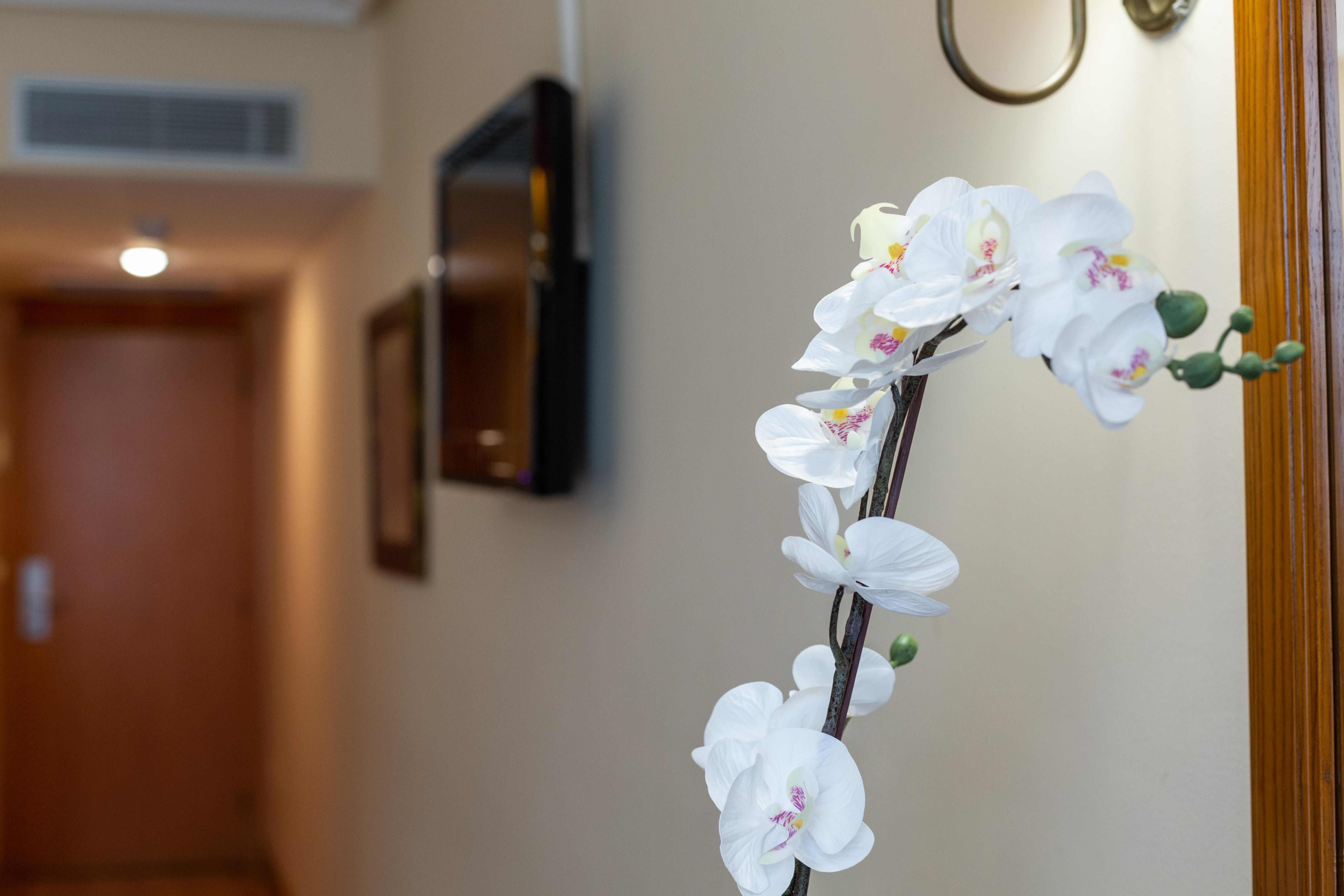 Ciudad de Cangas de Onís