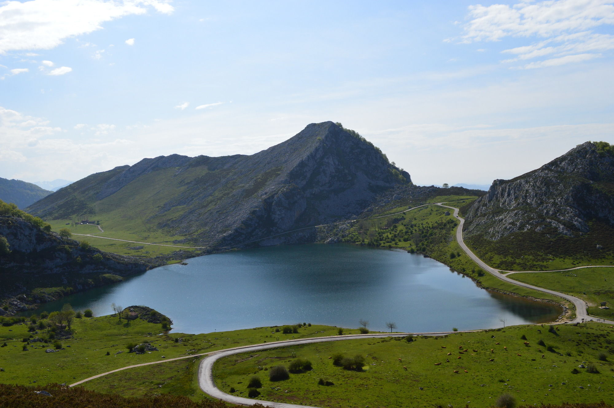 Arcea Gran Hotel Pelayo