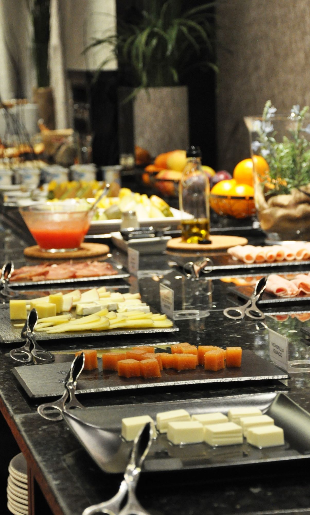 Iberik Santo Domingo Plaza Hotel