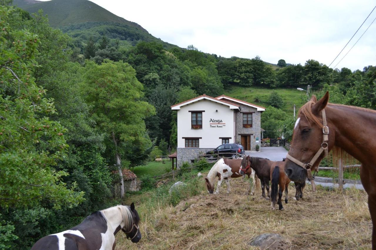 Alesga Rural