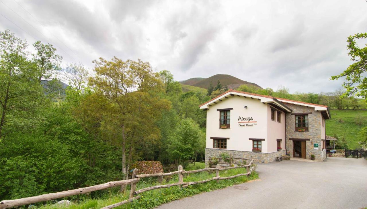 Alesga Rural