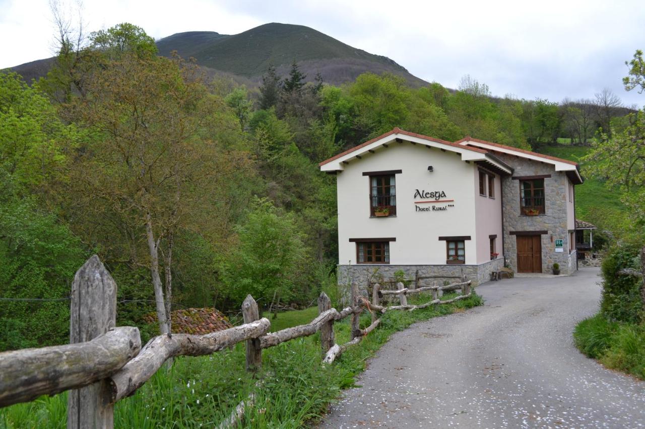 Alesga Rural