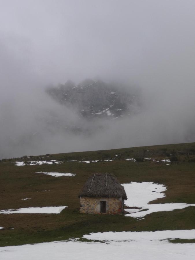 Alesga Rural