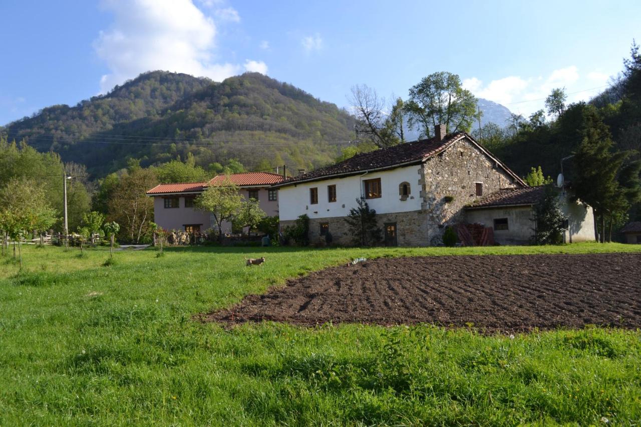 Alesga Rural