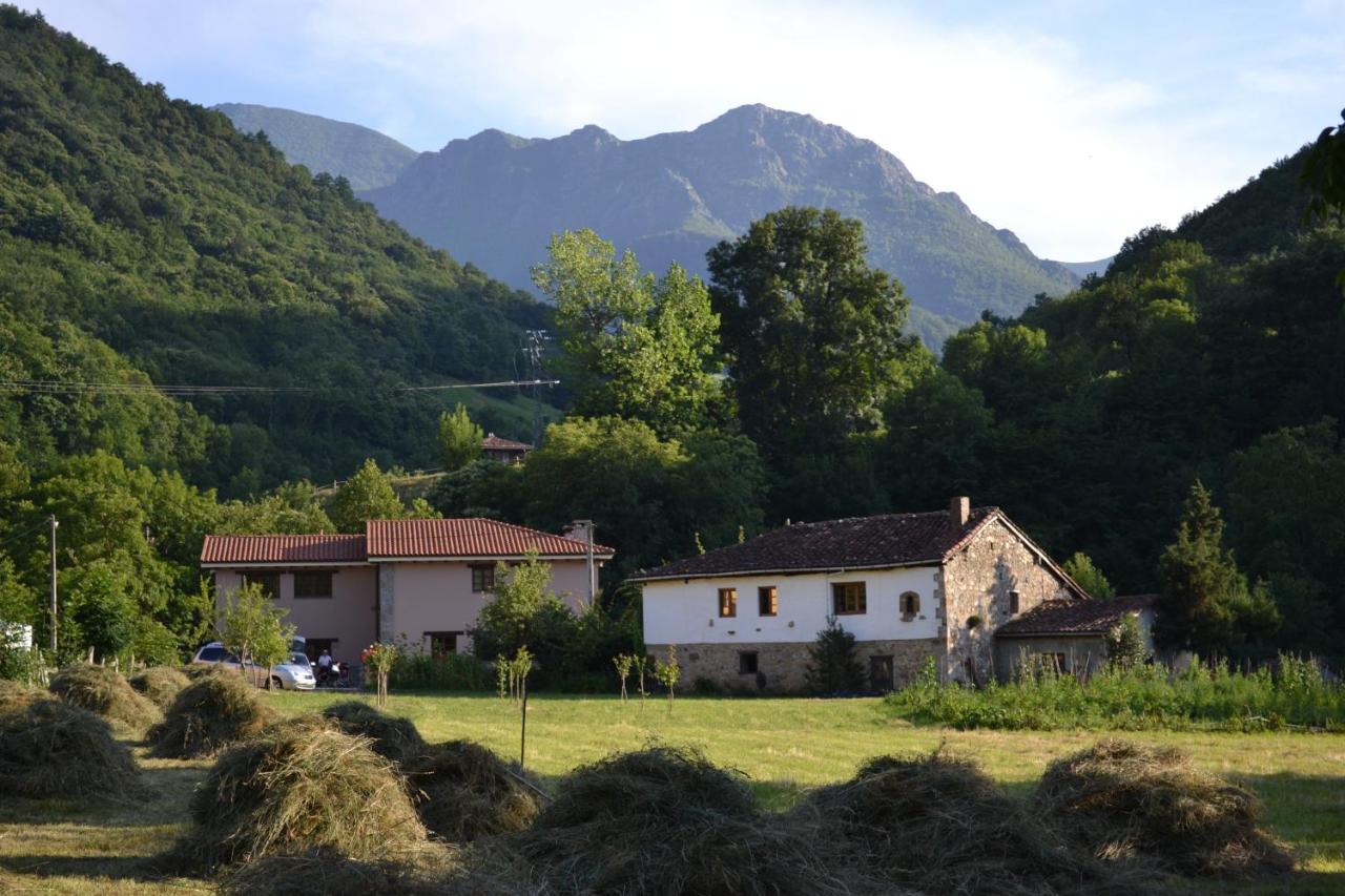Alesga Rural