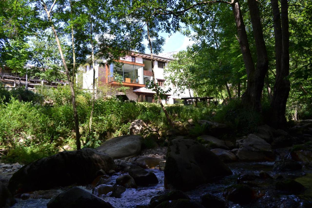 Alesga Rural