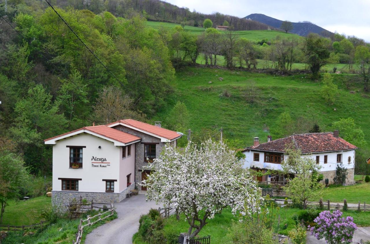 Alesga Rural